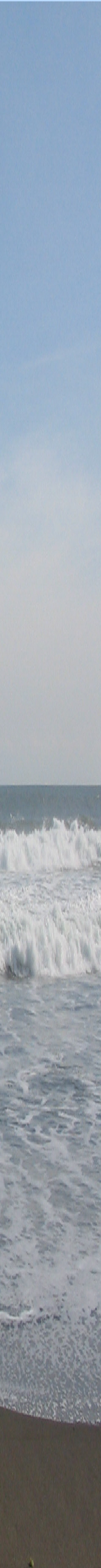 wp47ab63a1_0f.jpg
